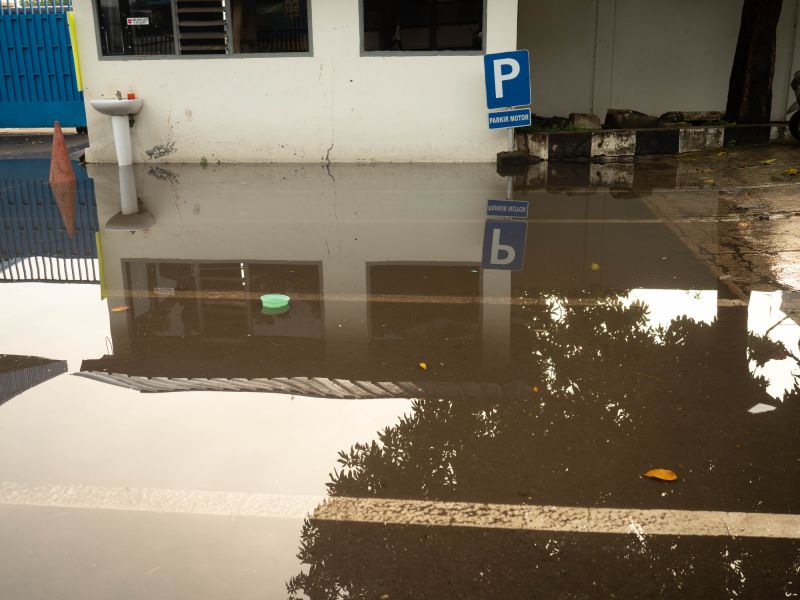 Increase Your Shrub Trimming Business with an AI Driven, Targeted Website