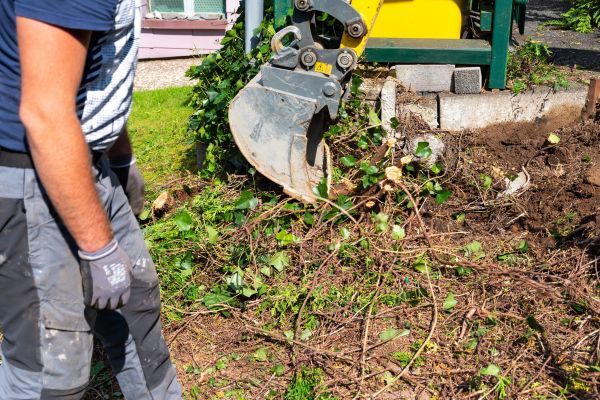 Hedge Removal Service in Kennewick