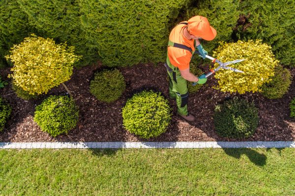 Topiary Trimming in Kennewick