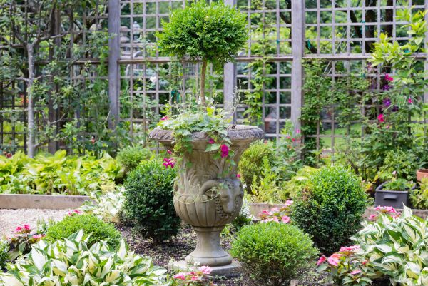 Topiary Pruning in Kennewick