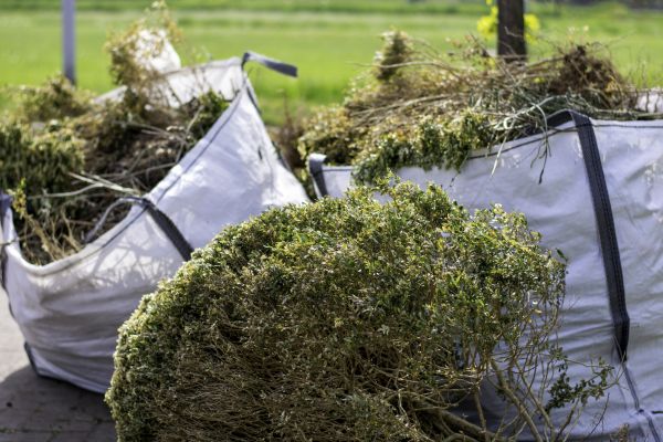 Shrubs Removal in Kennewick