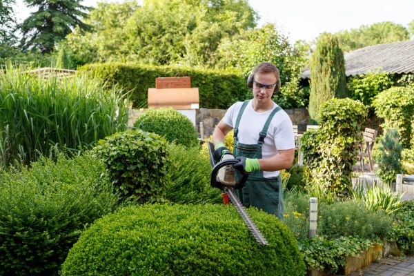 Shrubs Trimming in Kennewick