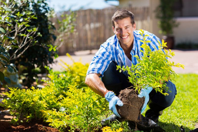 How To Tell When Your Shrubs Need Professional Care