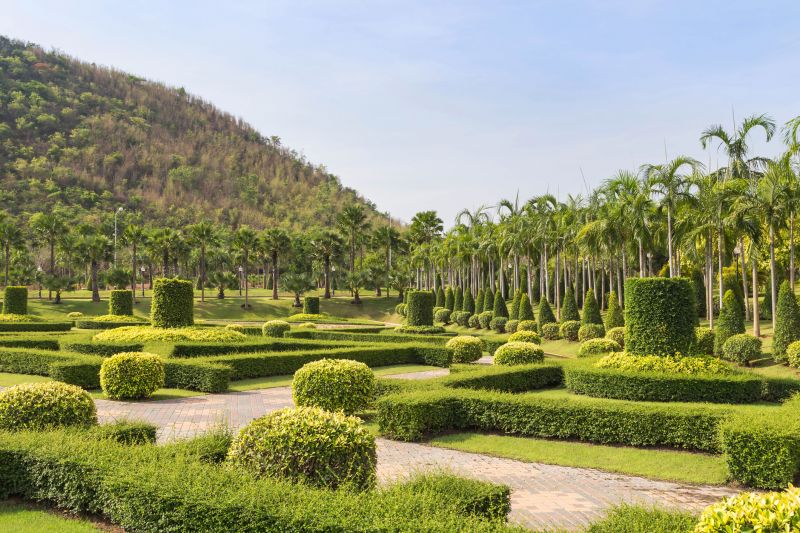 Decorative Shrub Pruning